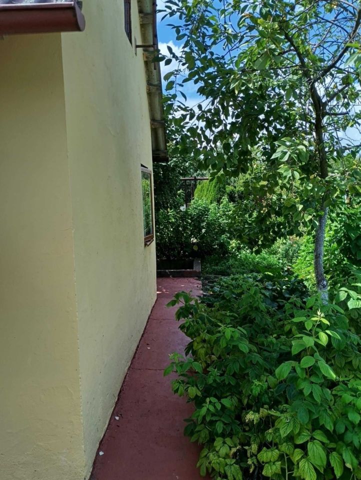 Działka rod Bełchatów, ul. Cegielniana. Zdjęcie 5