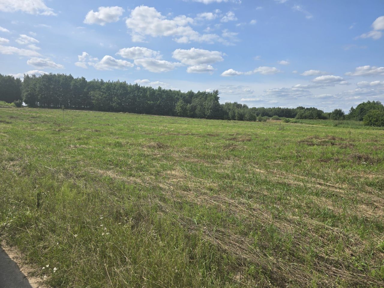 Działka budowlana Jedlanka Stara. Zdjęcie 5