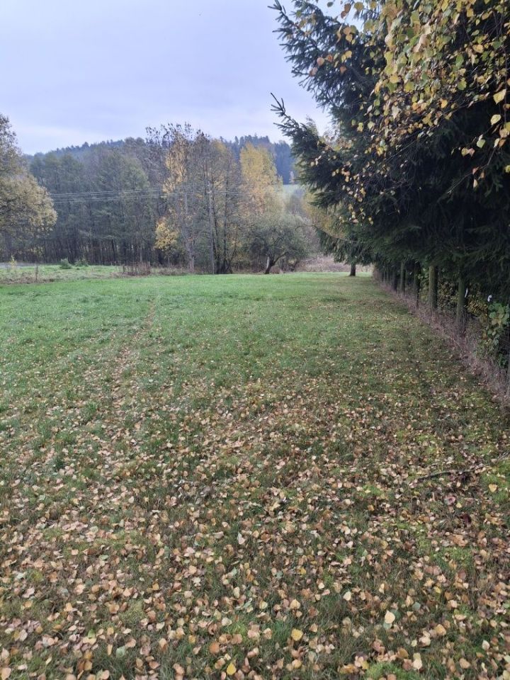 Działka budowlana Różanka. Zdjęcie 5