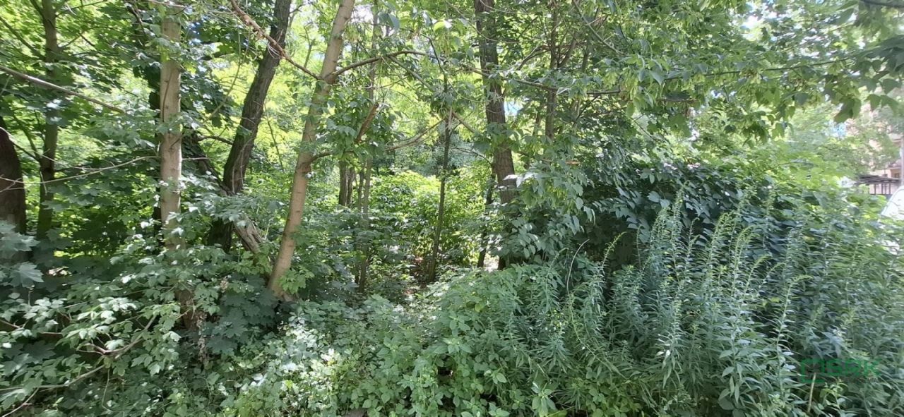 Działka inna Sosnowiec Niwka, ul. Adama Śliwki. Zdjęcie 5