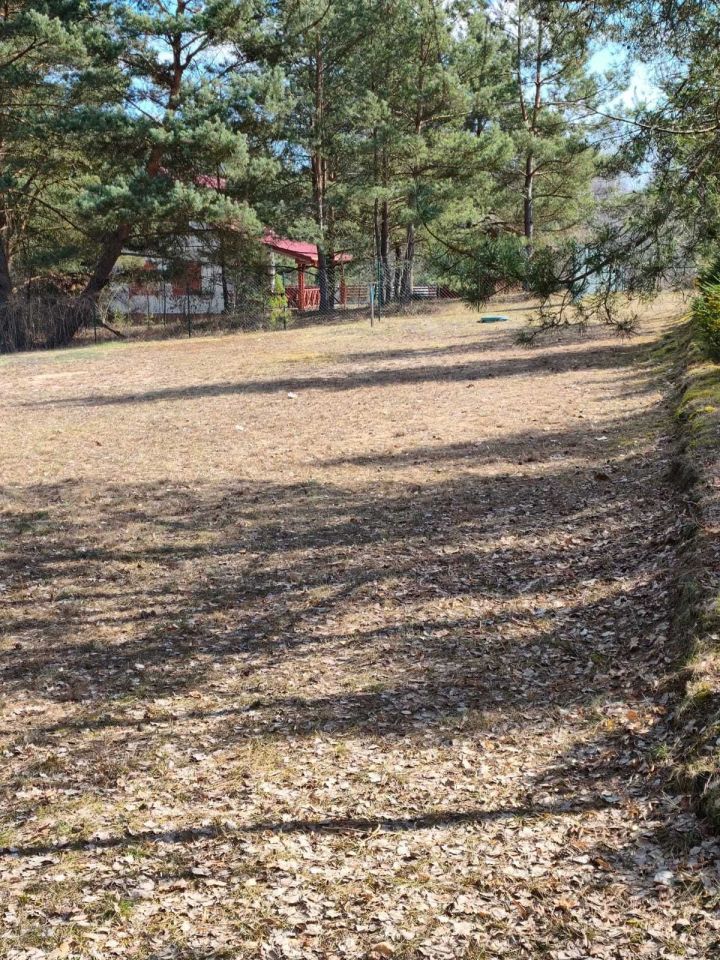 Działka budowlana Osiek. Zdjęcie 1