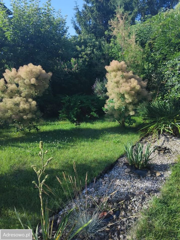 dom wolnostojący, 3 pokoje Popłacin. Zdjęcie 3