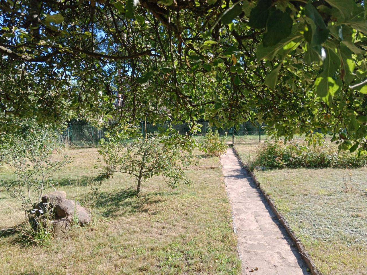 Działka rod Lipnik. Zdjęcie 8