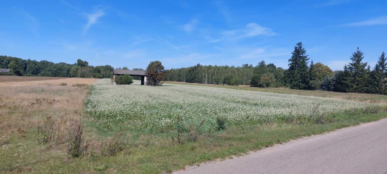 Działka rolno-budowlana Sitno. Zdjęcie 2