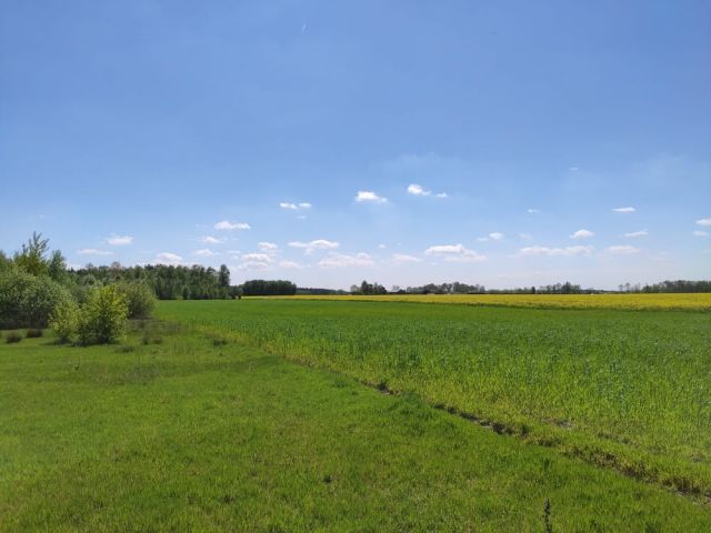 Działka rolno-budowlana Główiew, ul. Akacjowa. Zdjęcie 1