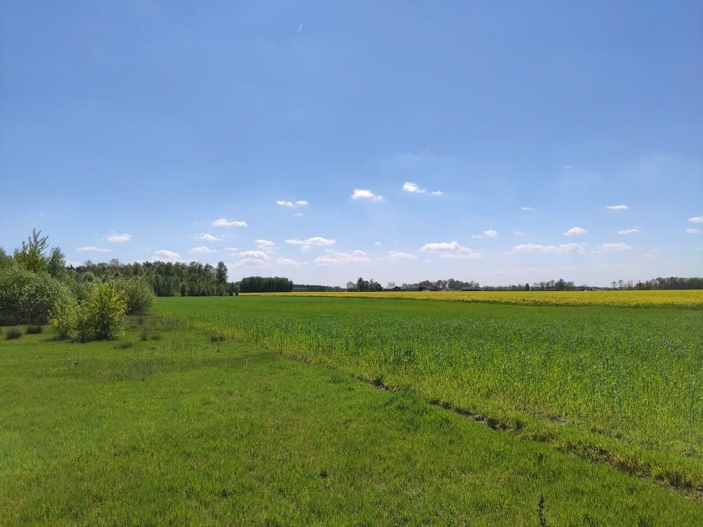 Działka rolno-budowlana Główiew, ul. Akacjowa