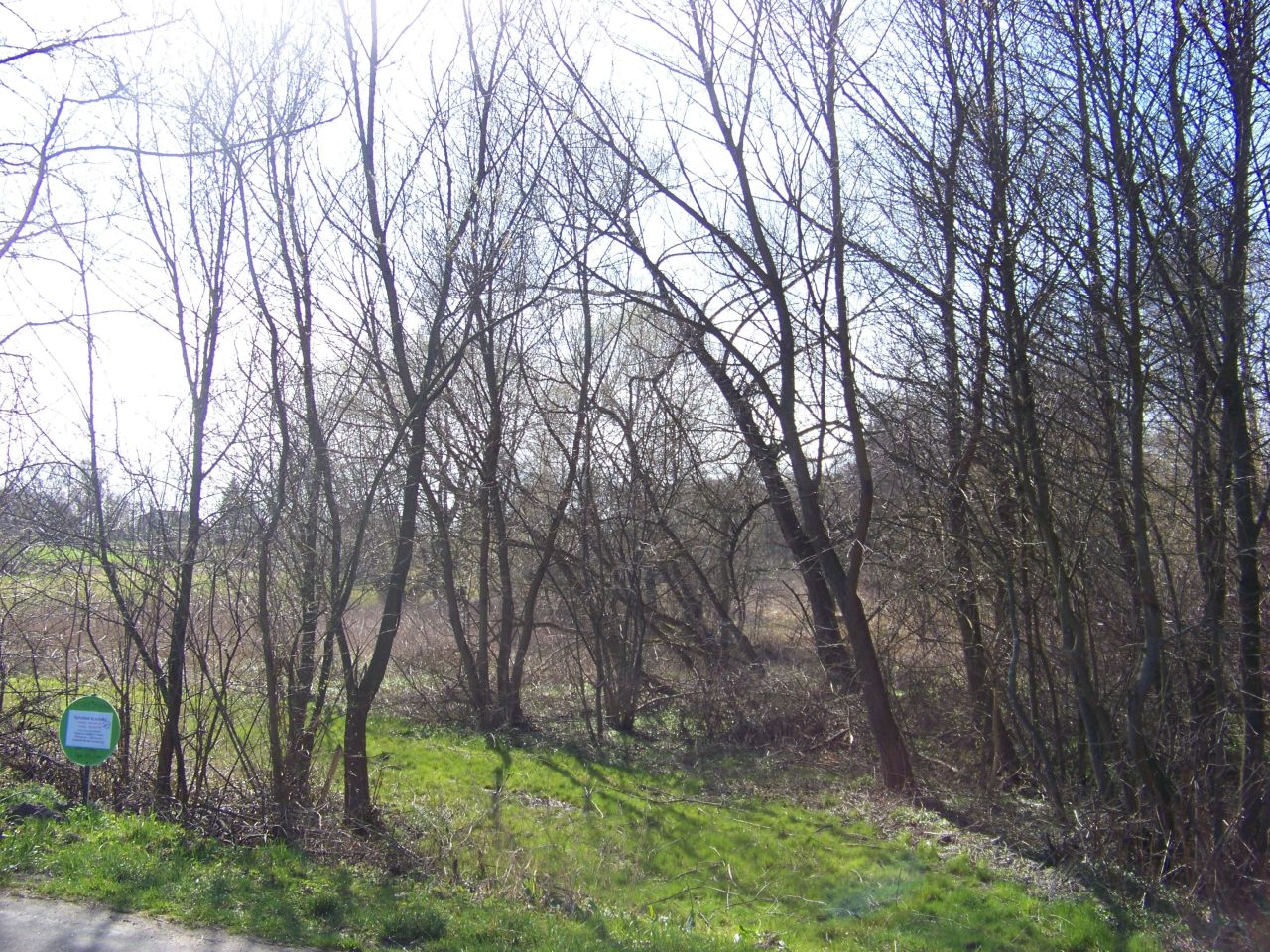 Działka rolna Kozły-Janowo. Zdjęcie 4