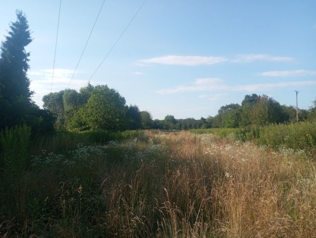 Działka rolna Puławy Włostowice, ul. Polskiej Organizacji Wojskowej. Zdjęcie 1