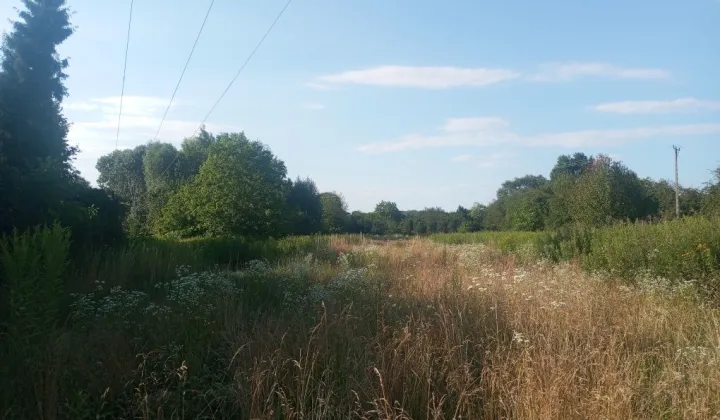 Działka rolna Puławy Włostowice, ul. Polskiej Organizacji Wojskowej