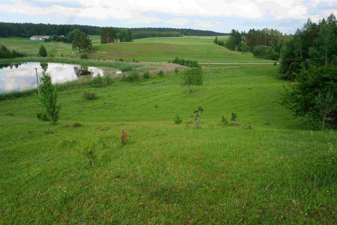Działka siedliskowa Osinki. Zdjęcie 16