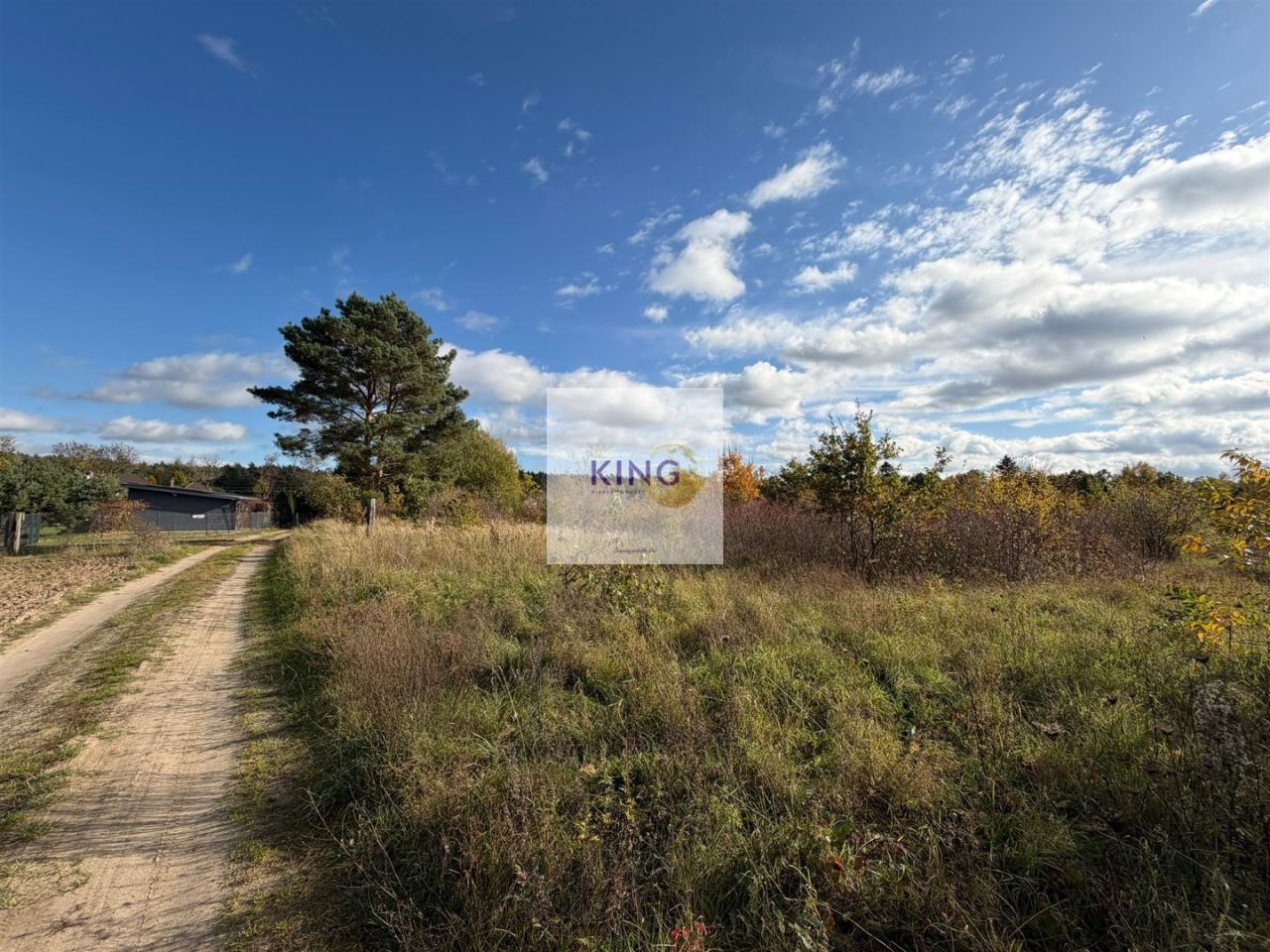 Działka siedliskowa Żórawie Szczawno. Zdjęcie 4