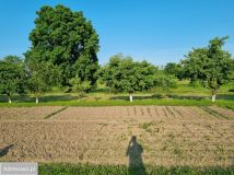 Działka budowlana Bieniowice. Zdjęcie 4