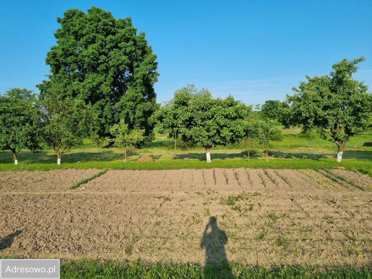 Działka budowlana Bieniowice. Zdjęcie 5