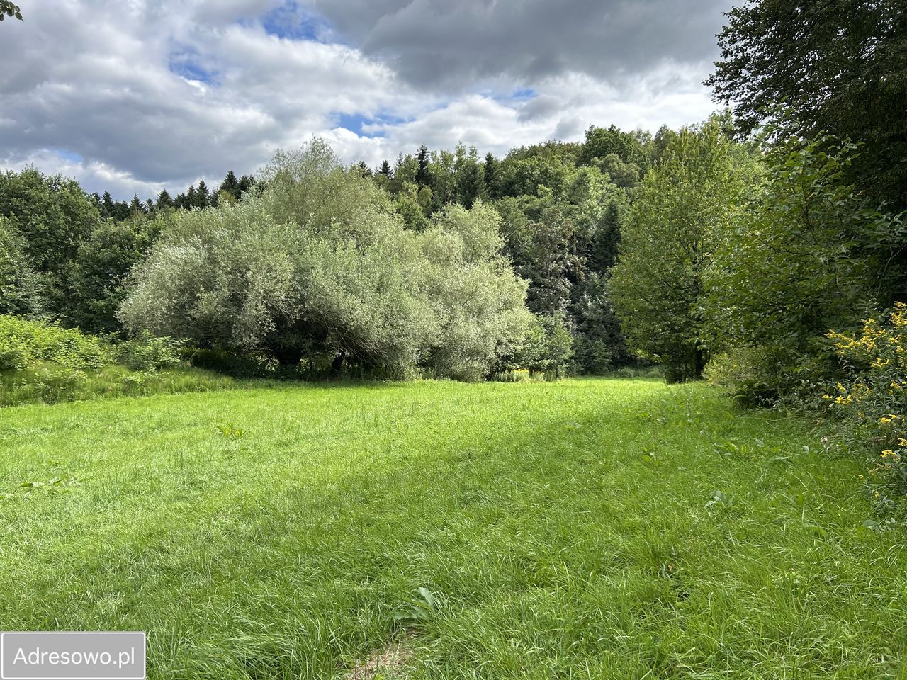 Działka rolno-budowlana Faściszowa. Zdjęcie 7