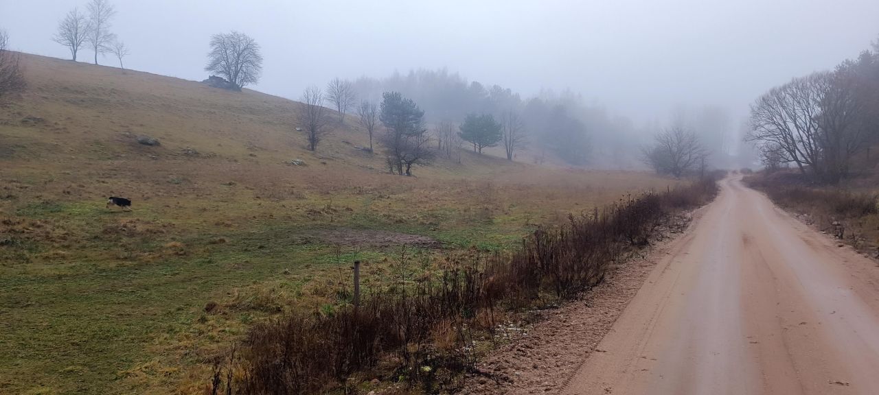 Działka rolno-budowlana Biała Woda, Biała Woda. Zdjęcie 7