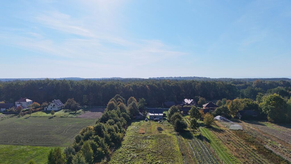 Działka Gwizdów. Zdjęcie 5
