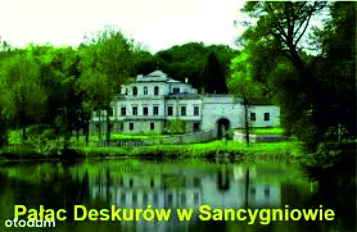 bliźniak, 7 pokoi Sancygniów, Sancygniów Podlesie. Zdjęcie 19