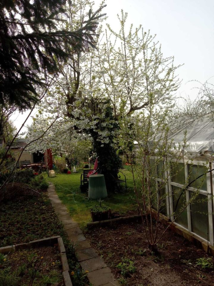 Działka rod Gubin, ul. Kresowa. Zdjęcie 3