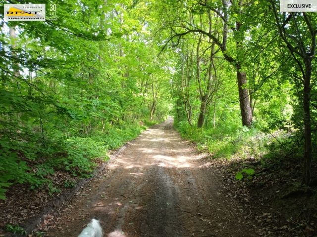 Działka rolna Binowo. Zdjęcie 14