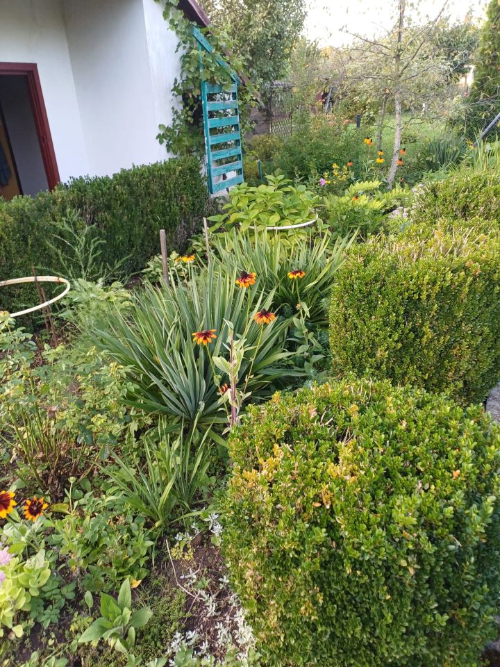 Działka rod Kwidzyn, ul. Furmańska. Zdjęcie 2