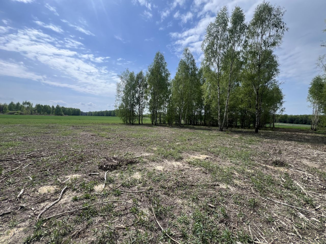Działka budowlana Mlęcin. Zdjęcie 6