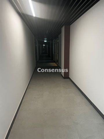 Lokal Katowice, ul. Sokolska. Zdjęcie 3