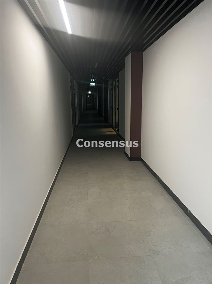 Lokal Katowice, ul. Sokolska. Zdjęcie 3