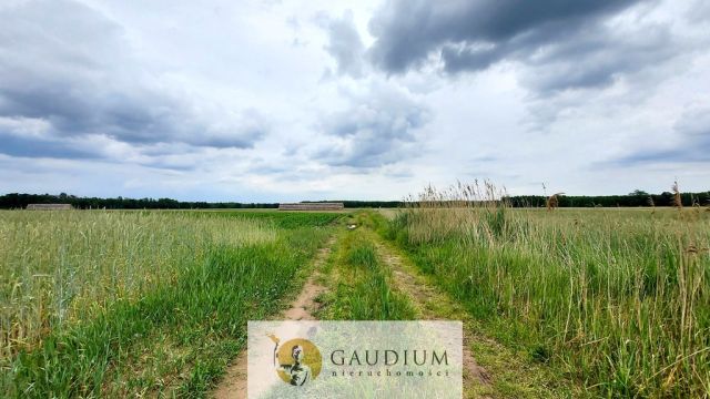 Działka Karszyn. Zdjęcie 21