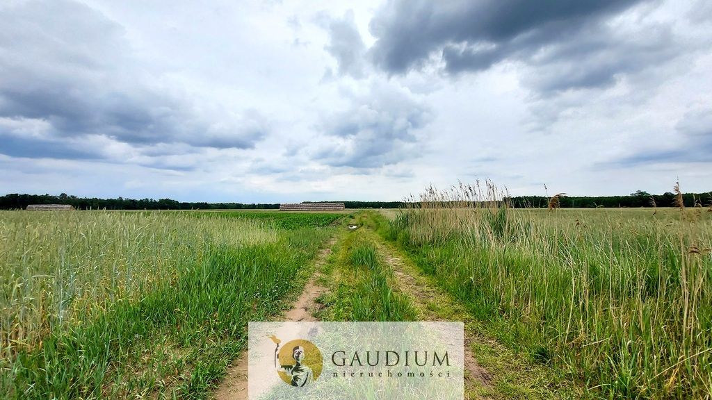 Działka Karszyn. Zdjęcie 21