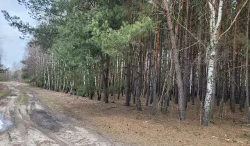 Działka na sprzedaż bez pośredników 
 
 Kołaczkowice - Widok 5