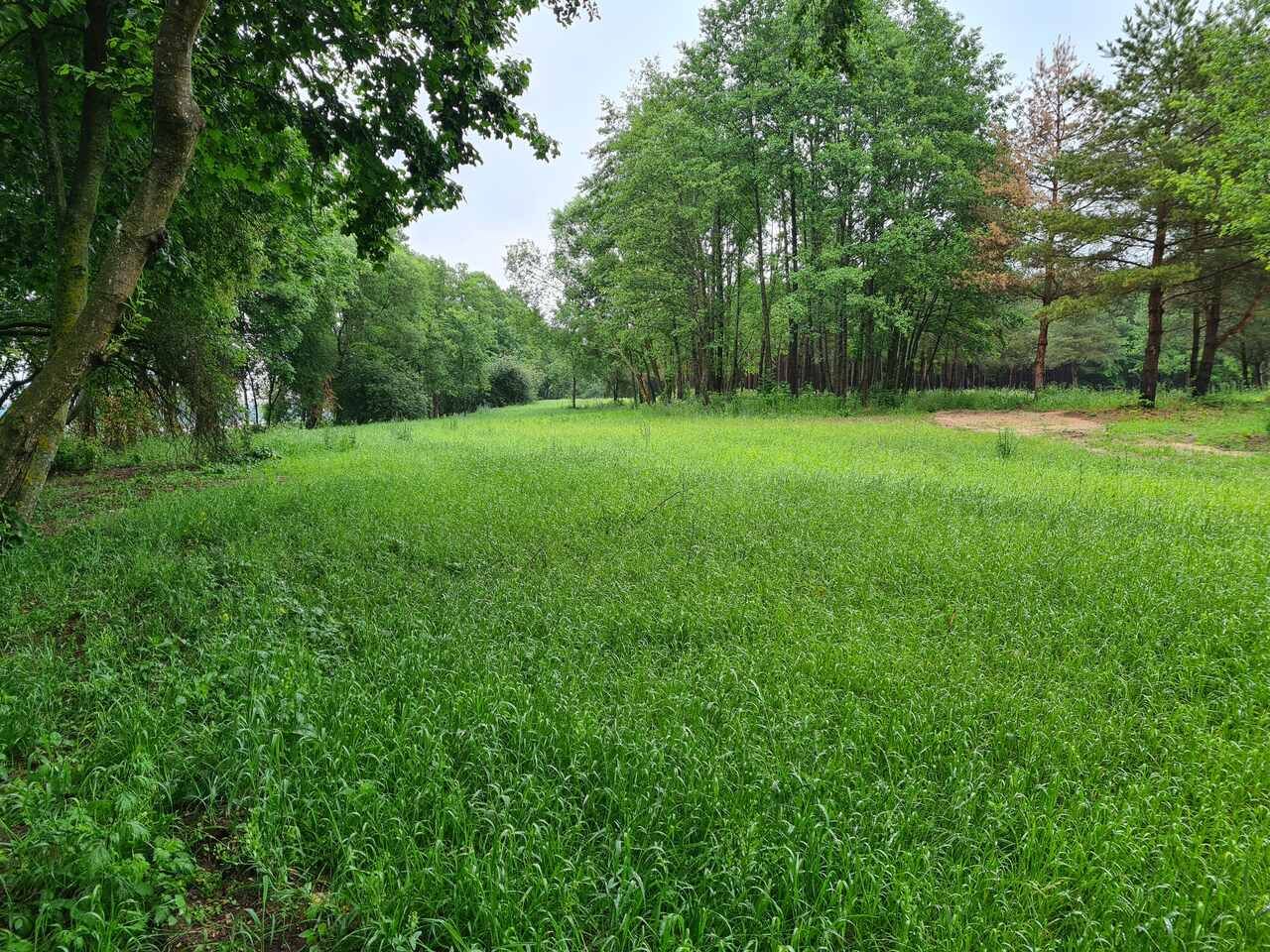 Działka inwestycyjna Wieliczki, ul. Letniskowa. Zdjęcie 4