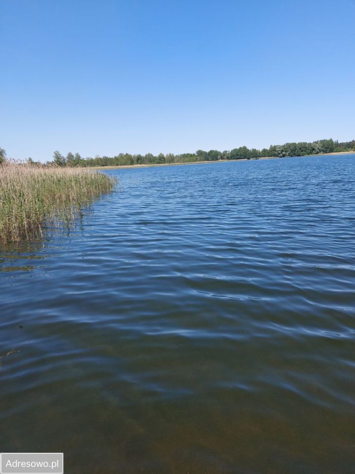 Działka rolna Mojtyny. Zdjęcie 2