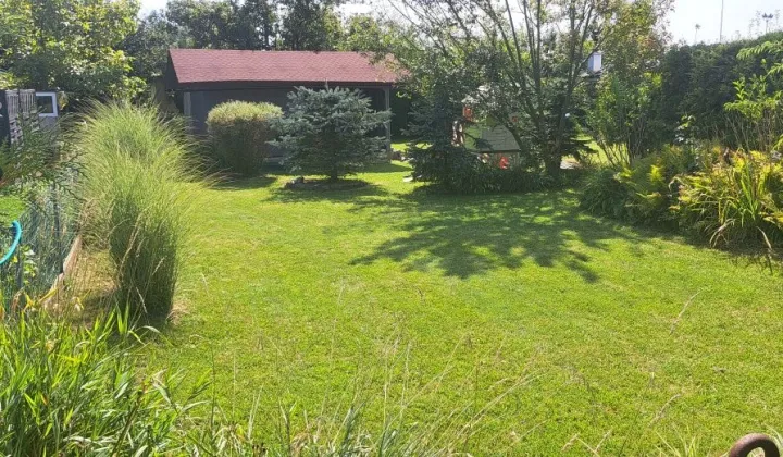 Działka rod Kępno, ul. Sportowa