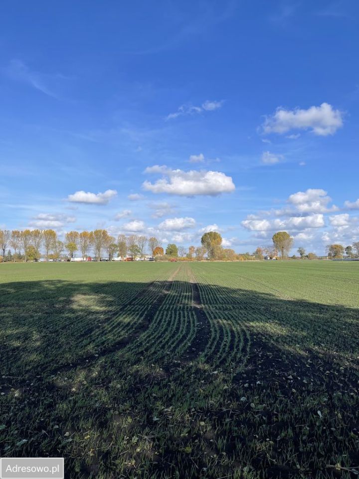 Działka inwestycyjna Karnin, ul. Lubuska. Zdjęcie 7