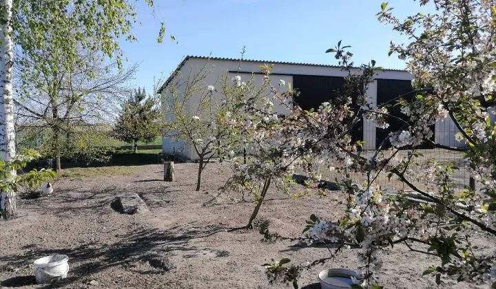 Działka rolno-budowlana Ponętów Dolny