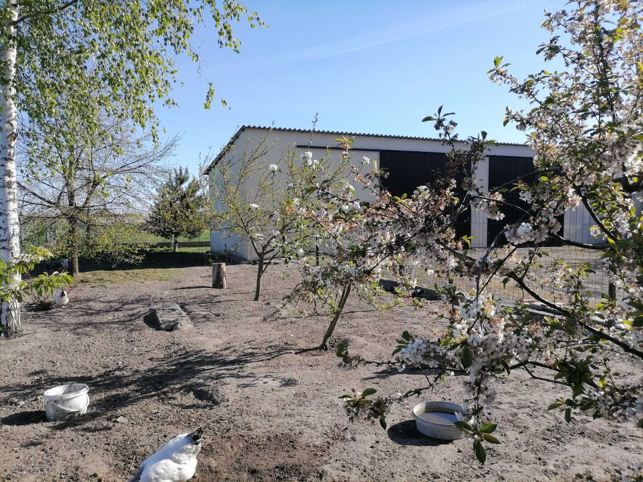 Działka rolno-budowlana Ponętów Dolny. Zdjęcie 1