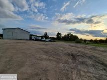 Hala/magazyn Jasieniec, ul. Warecka. Zdjęcie 3