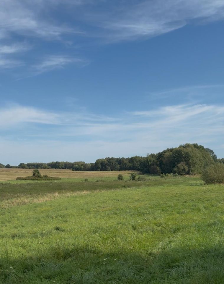 Działka rolna Śmilcz, ul. 1000-lecia / boczna. Zdjęcie 5