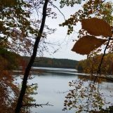 Działka leśna Ciemno. Zdjęcie 3