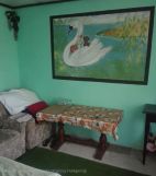 Działka rod Poddębice. Zdjęcie 2