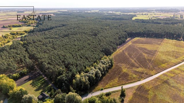Działka leśna Maurzyce. Zdjęcie 4