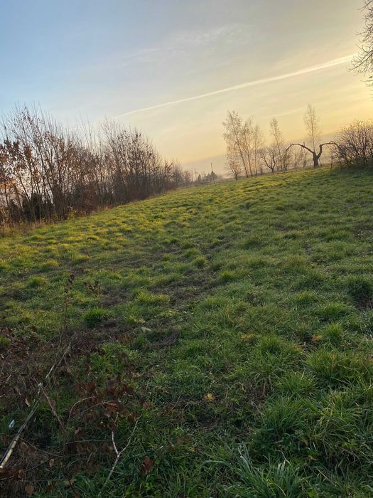 Działka budowlana Mikułowice. Zdjęcie 3