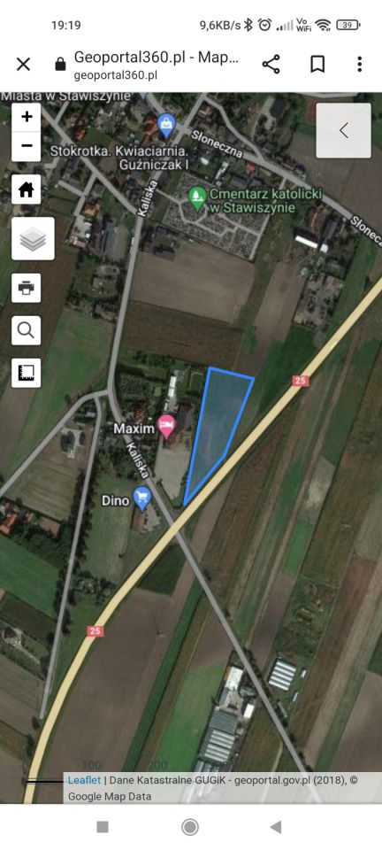 Działka rolna Stawiszyn. Zdjęcie 2