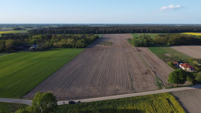 Działka rolno-budowlana Naruszewo. Zdjęcie 1