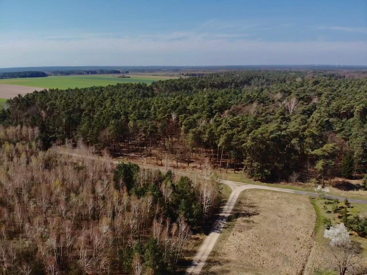 Działka budowlana Osiny. Zdjęcie 4
