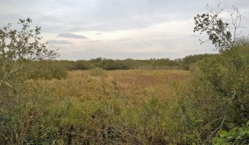 Działka siedliskowa Wodnica
