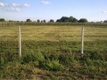 Działka rolna Miedzechów. Zdjęcie 1