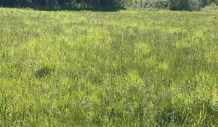 Działka budowlana Łączno