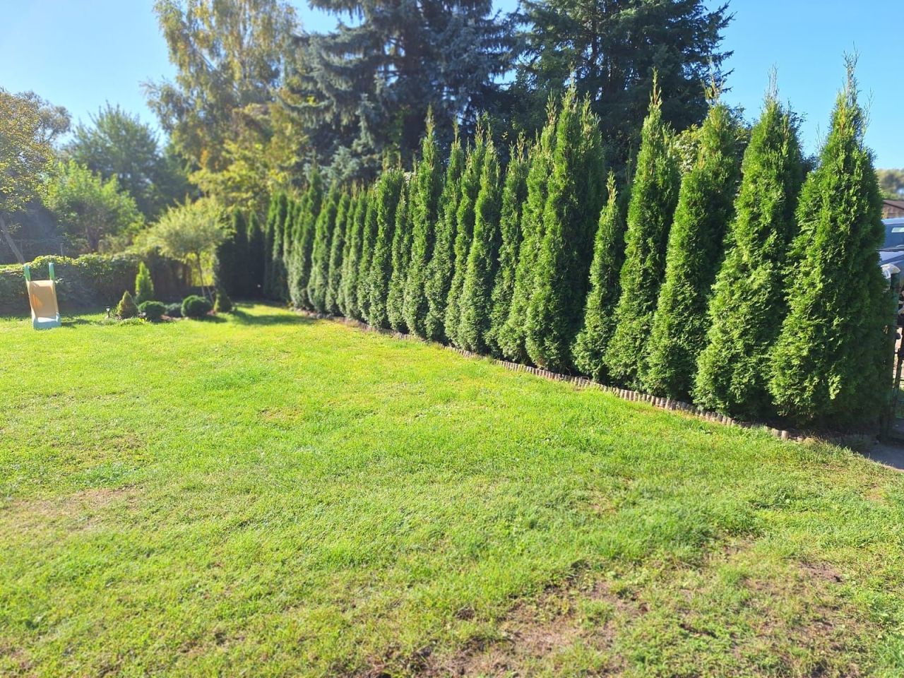 Działka rod Ząbki, ul. Łodygowa. Zdjęcie 6