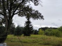 Działka rolno-budowlana Tarnowiec. Zdjęcie 4